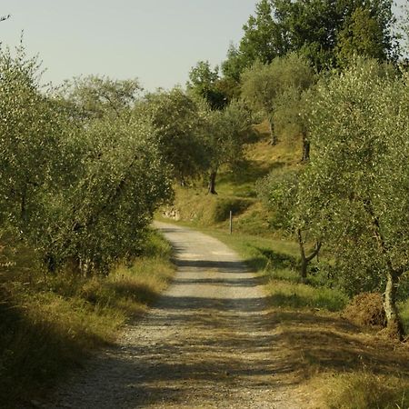 Aramo Verde Exterior foto